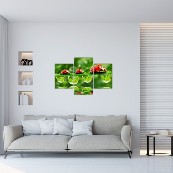 Slika - Sunčev sjaj sedam sunaca (90x60 cm)