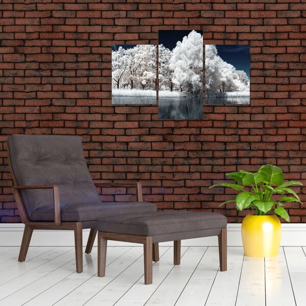 Slika - Snjeguljica stabla (90x60 cm)