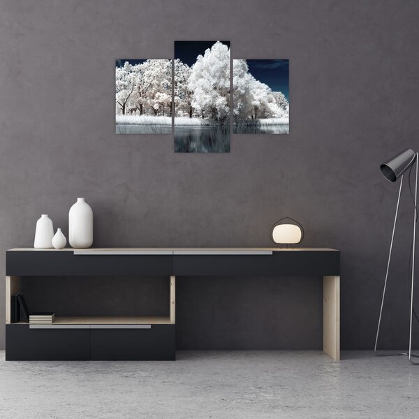 Slika - Snjeguljica stabla (90x60 cm)