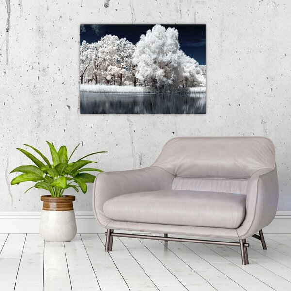 Slika - Snjeguljica stabla (70x50 cm)