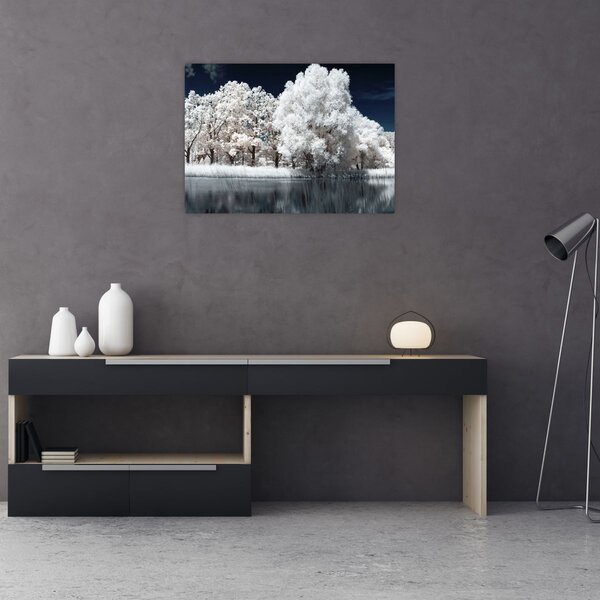 Slika - Snjeguljica stabla (70x50 cm)