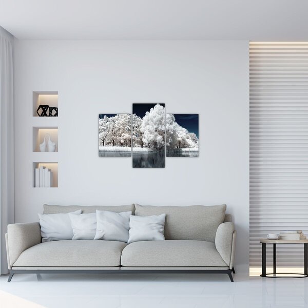 Slika - Snjeguljica stabla (90x60 cm)