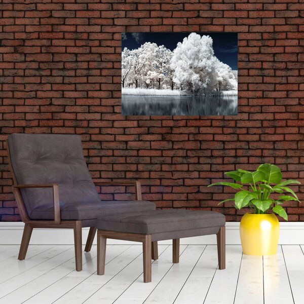 Slika - Snjeguljica stabla (70x50 cm)