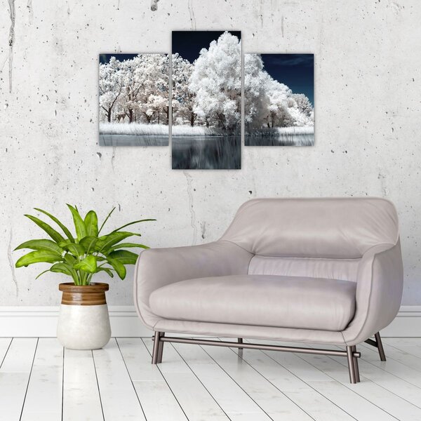 Slika - Snjeguljica stabla (90x60 cm)