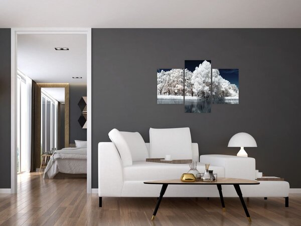 Slika - Snjeguljica stabla (90x60 cm)