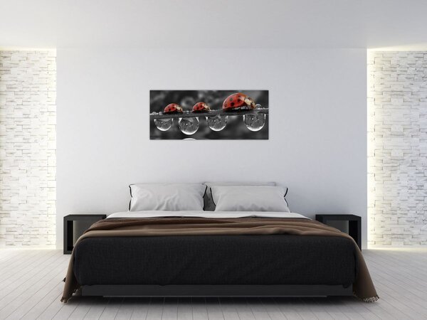 Slika - Suncokret, crno-bijeli (120x50 cm)