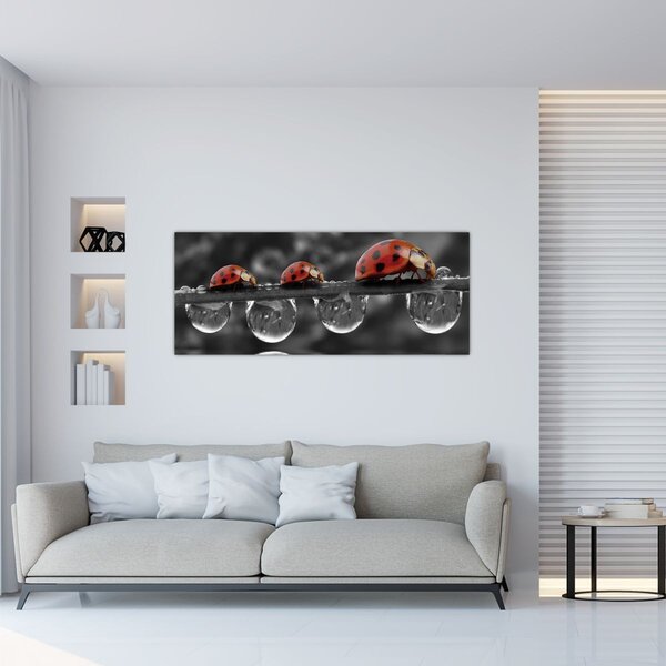 Slika - Suncokret, crno-bijeli (120x50 cm)