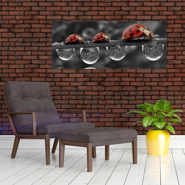 Slika - Suncokret, crno-bijeli (120x50 cm)