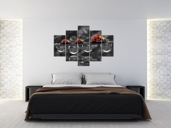 Slika - Suncokret, crno-bijeli (150x105 cm)