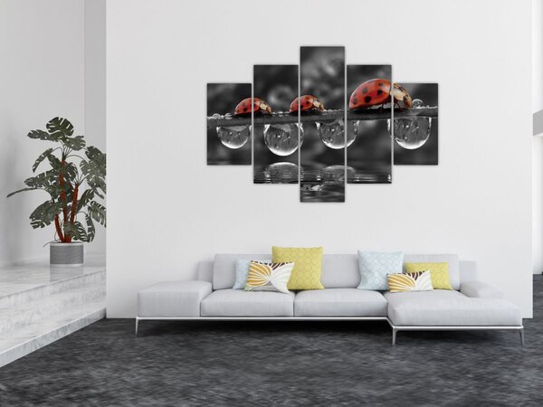 Slika - Suncokret, crno-bijeli (150x105 cm)