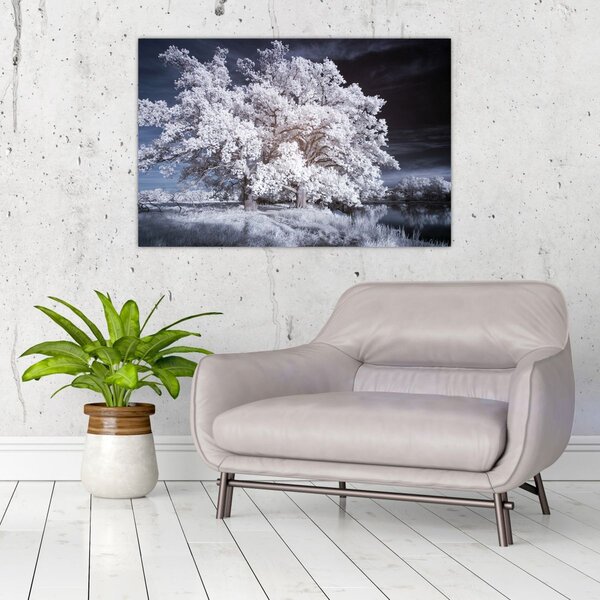 Slika - Snjeguljica Drvo (90x60 cm)