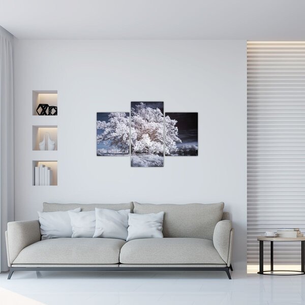 Slika - Snjeguljica Drvo (90x60 cm)
