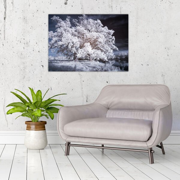 Slika - Snjeguljica Drvo (70x50 cm)