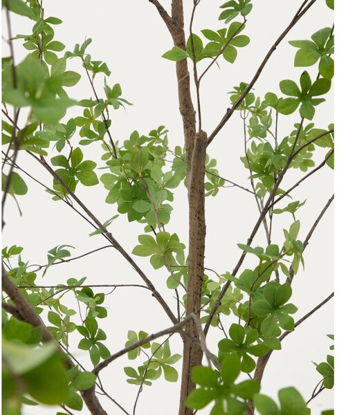 Umjetna biljka (visina 214 cm) Enkianthus – Kave Home