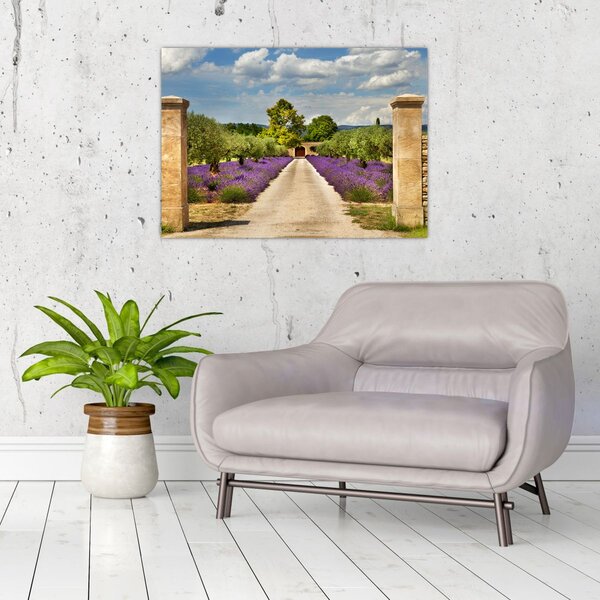 Slika - Staze od lavande (70x50 cm)
