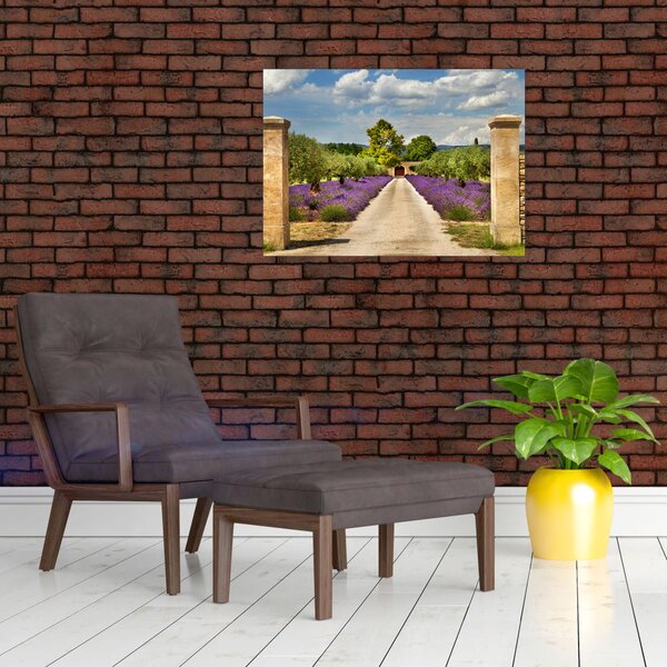 Slika - Staze od lavande (70x50 cm)