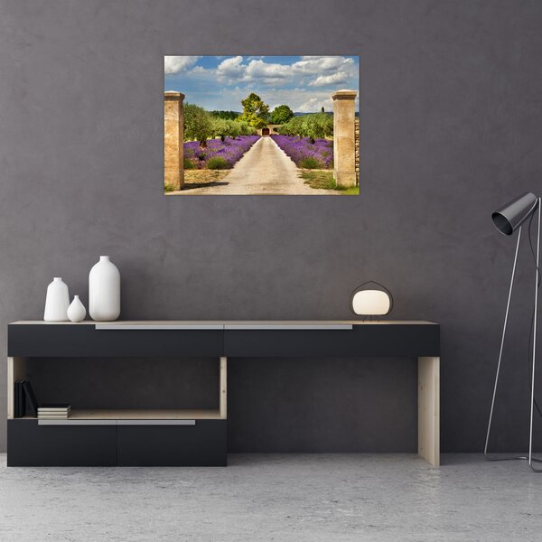 Slika - Staze od lavande (70x50 cm)