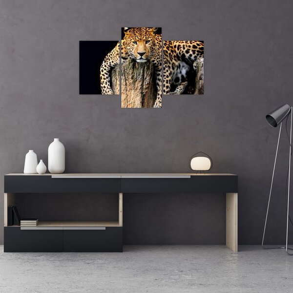 Slika - gepard (90x60 cm)