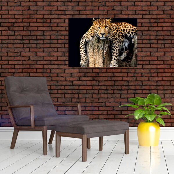 Slika - gepard (70x50 cm)