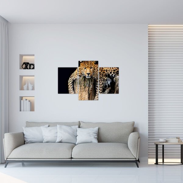 Slika - gepard (90x60 cm)