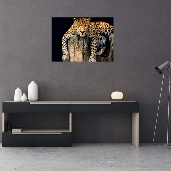 Slika - gepard (70x50 cm)