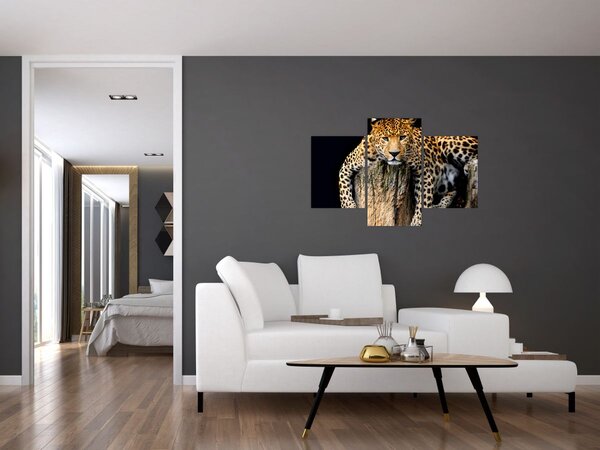 Slika - gepard (90x60 cm)