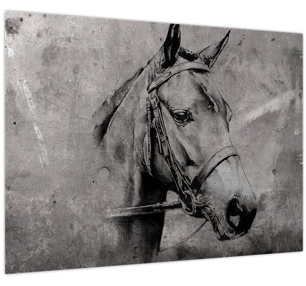 Slika - Portret konja (70x50 cm)