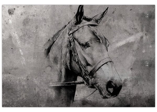 Slika - Portret konja (90x60 cm)