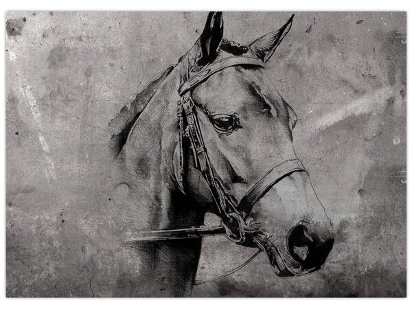 Slika - Portret konja (70x50 cm)