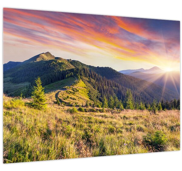 Slika - Šumski krajolik (70x50 cm)