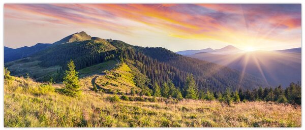 Slika - Šumski krajolik (120x50 cm)