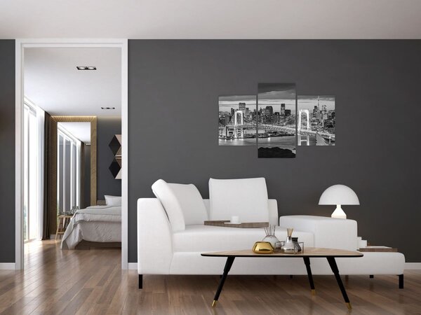 Slika - Crno bijeli veliki grad (90x60 cm)