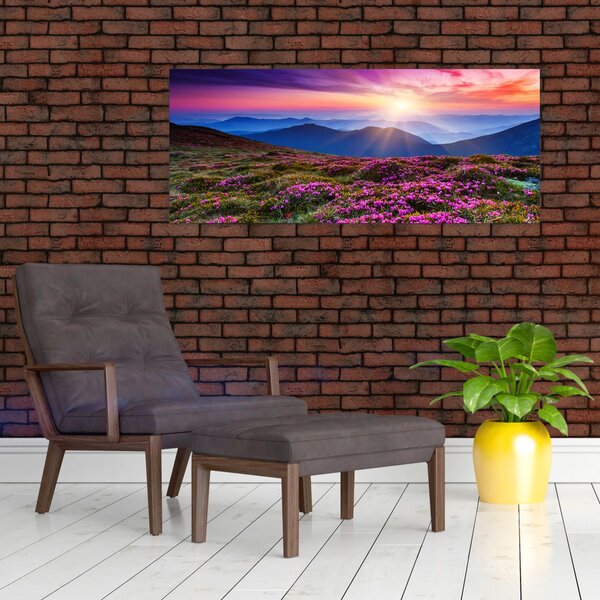 Slika - Planinski cvjetni krajolik (120x50 cm)