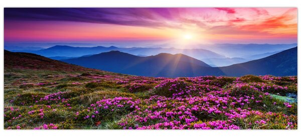 Slika - Planinski cvjetni krajolik (120x50 cm)