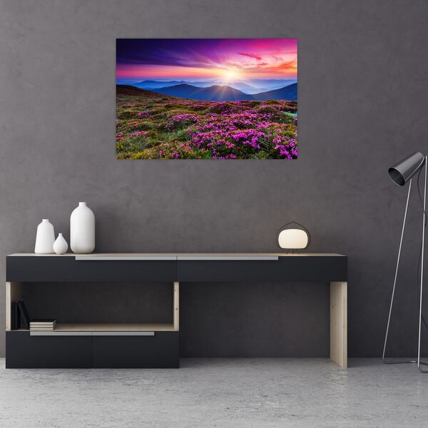 Slika - Planinski cvjetni krajolik (90x60 cm)