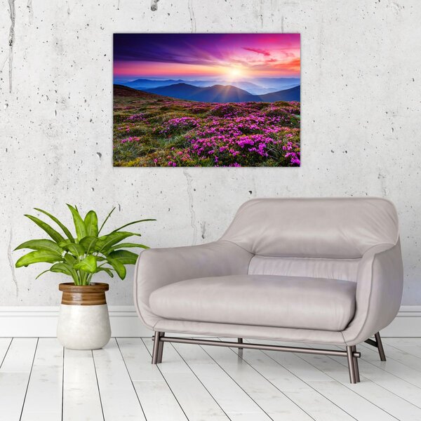Slika - Planinski cvjetni krajolik (70x50 cm)