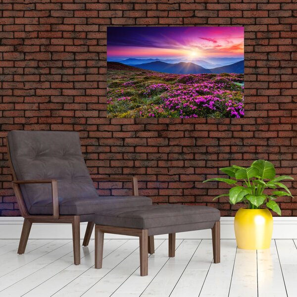 Slika - Planinski cvjetni krajolik (90x60 cm)
