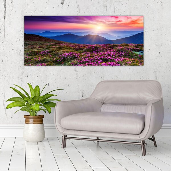 Slika - Planinski cvjetni krajolik (120x50 cm)