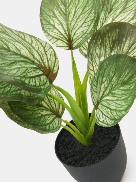 Sinsay - Umjetna dekorativna biljka Alocasia u posudi