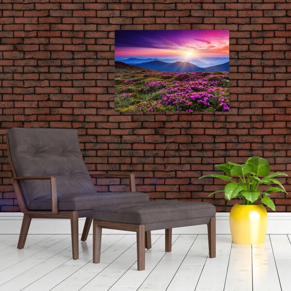 Slika - Planinski cvjetni krajolik (70x50 cm)