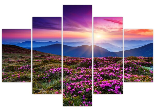 Slika - Planinski cvjetni krajolik (150x105 cm)