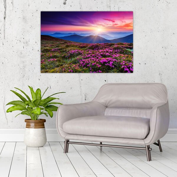 Slika - Planinski cvjetni krajolik (90x60 cm)