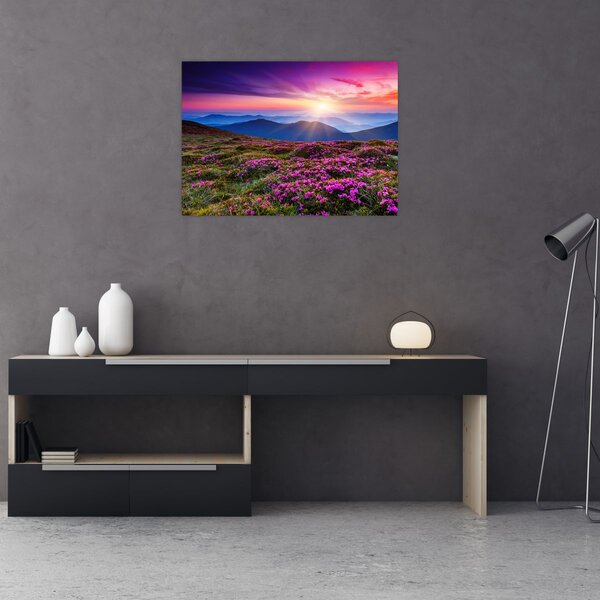 Slika - Planinski cvjetni krajolik (70x50 cm)