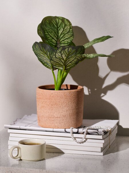 Sinsay - Umjetna dekorativna biljka Alocasia u posudi