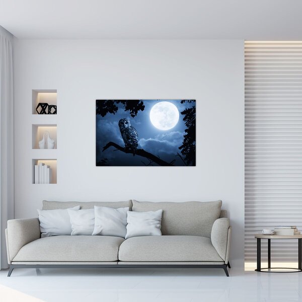Slika - Noćna sova (90x60 cm)