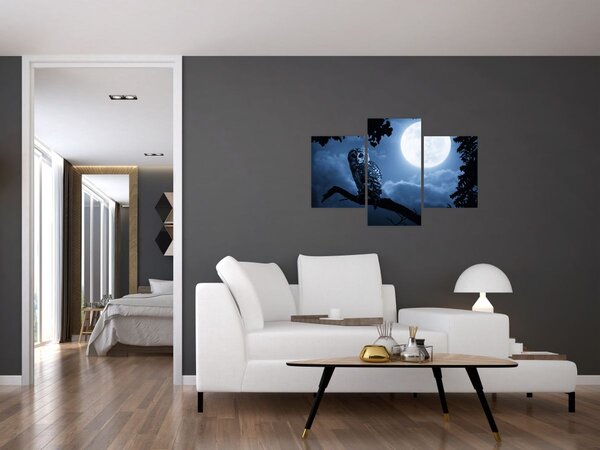 Slika - Noćna sova (90x60 cm)