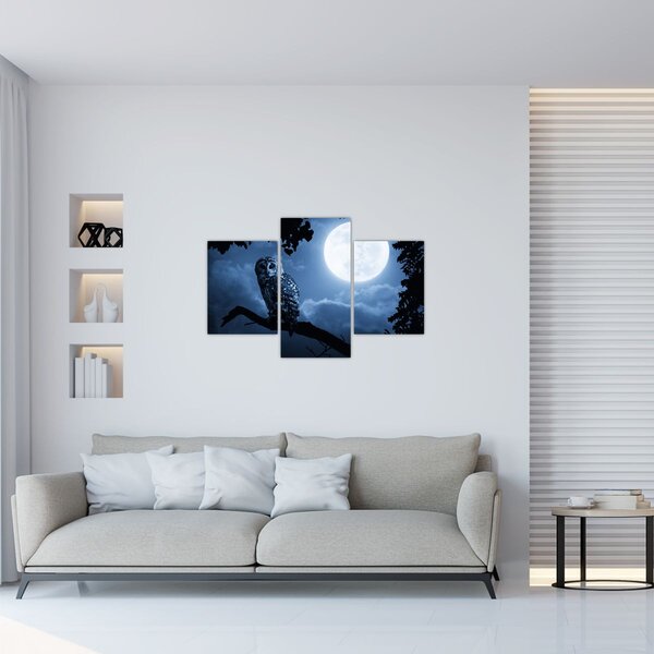 Slika - Noćna sova (90x60 cm)