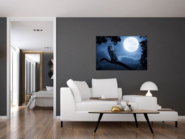 Slika - Noćna sova (90x60 cm)
