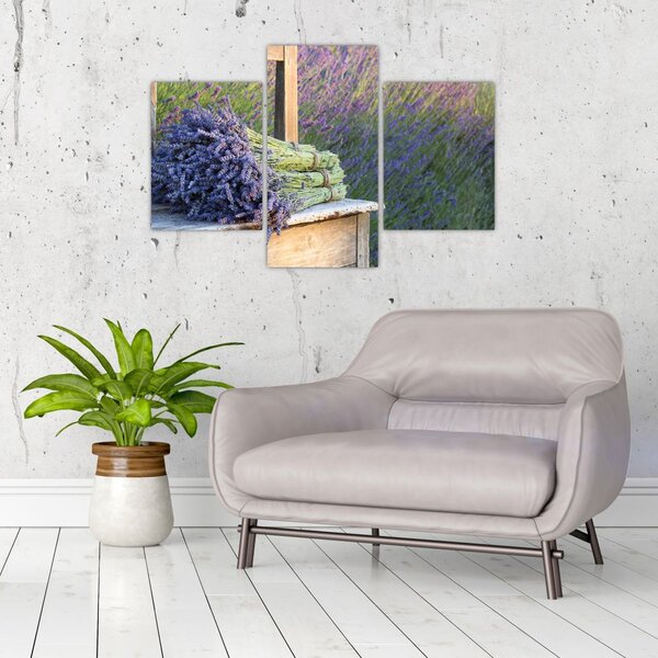 Slika - Grozdovi lavande (90x60 cm)