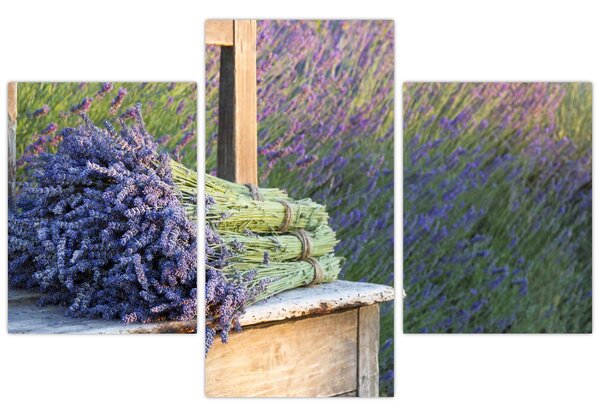 Slika - Grozdovi lavande (90x60 cm)